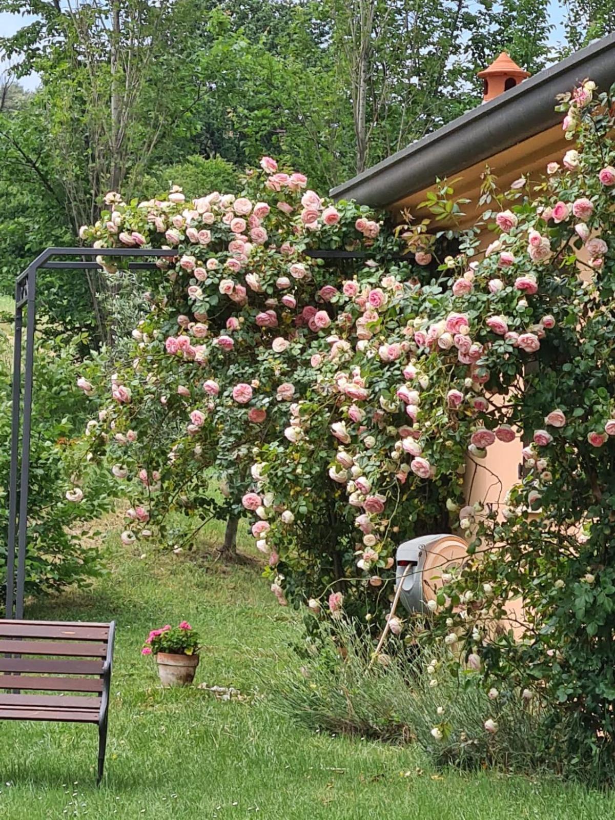 B&B Rosaverde Mulazzano 외부 사진